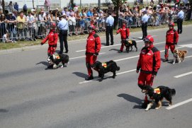 Fédération Nationale des Pompiers